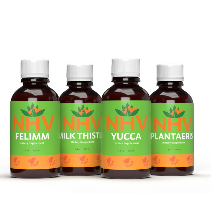 Kit De Renforcement Pour Lymphome Gastro-Intestinal